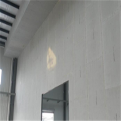 振兴宁波ALC板|EPS加气板隔墙与混凝土整浇联接的实验研讨